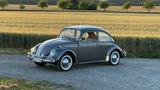 Volkswagen Käfer - Volkswagen Käfer mit Benzin-Antrieb: Coupé