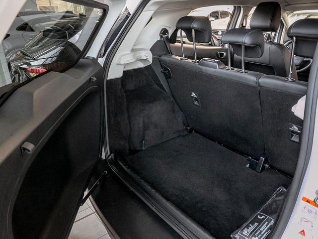 Ford Ecosport 1.0 Active Fahrassistenz-Paket Kamera