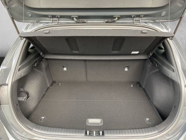 Fahrzeugabbildung Kia Ceed ULTIMATE EDITION 1.0 T-GDI *STYLE-PAKET*