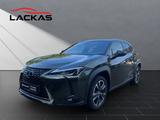 Lexus UX 250h STYLE SHZ+KAMERA+PDC+LED+DAB+CARPLAY+18" - Lexus Gebrauchtwagen von 2022