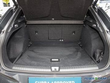 Cupra Terramar - 7
