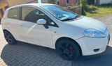 Fiat punto - Fiat Punto aus 2009