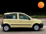Fiat Panda 1.1 8V Active *Sep 2025 Tüv* - Fiat Panda in Berlin