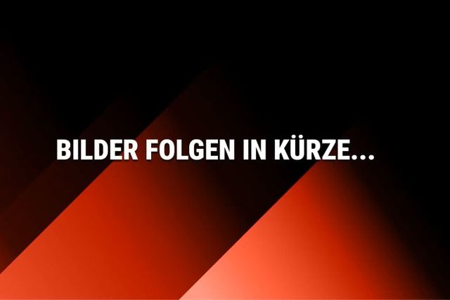 Mercedes-Benz E 320 CDI Elegance Aut AHK GRA Xenon Navi