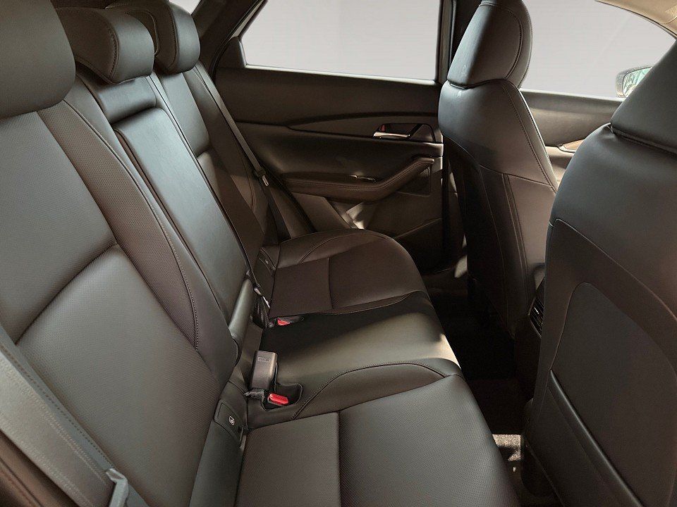 Fahrzeugabbildung Mazda CX-30 2.0 X 186PS Takumi BLOP