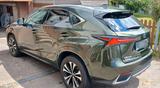 Lexus NX  300h Style Edition; Leder, Navi, Hybrid, LED - Lexus aus 2021