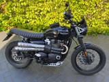 Triumph Street Scrambler 900 Custom A2 /  offen möglich - Offers