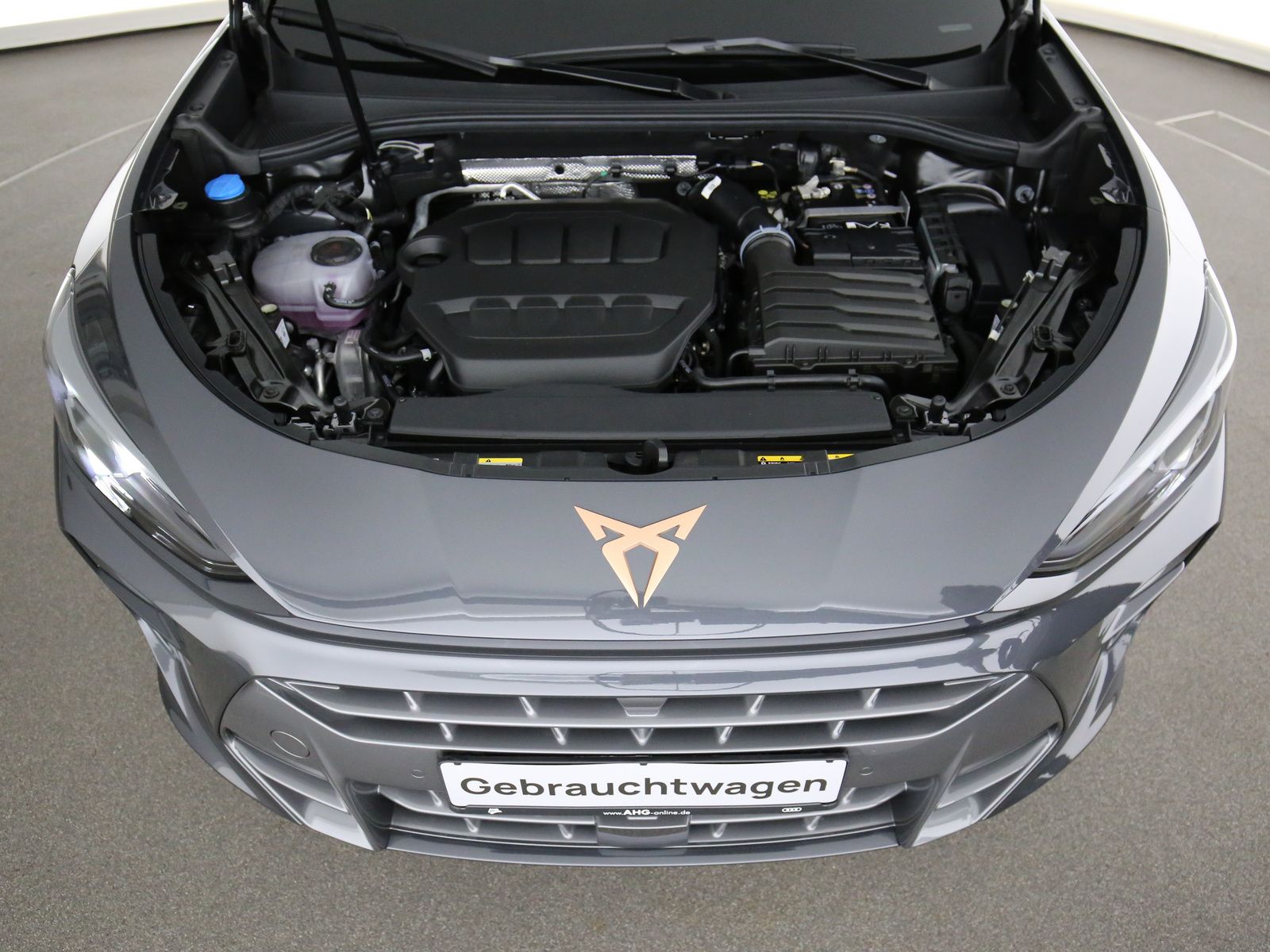 Cupra Terramar - Bild 37