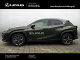 Lexus UX 300h F-Sport Design - Lexus: 300h
