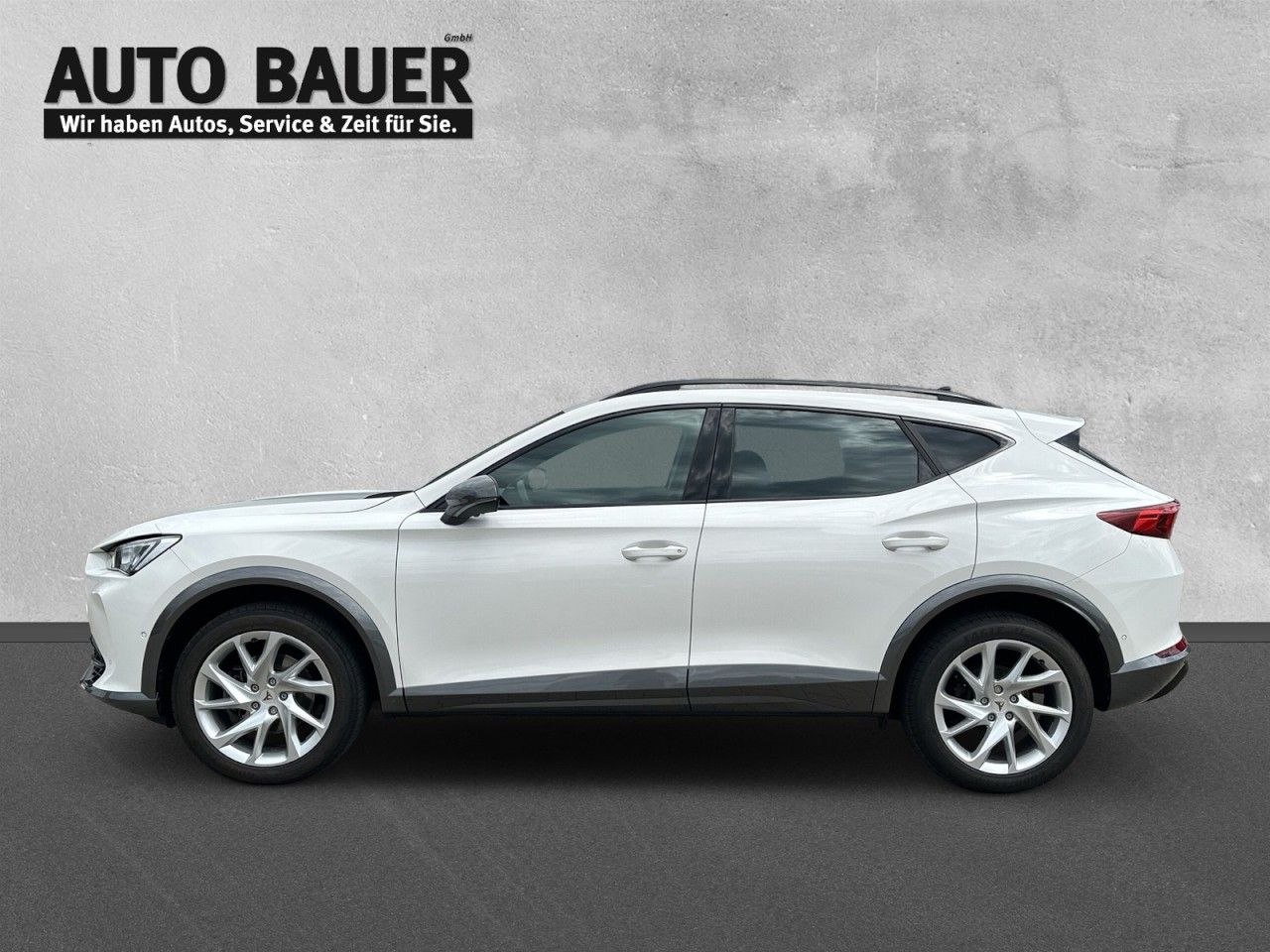 Fahrzeugabbildung CUPRA Formentor 2.0 TDI 4Drive (150PS) 7-Gang-DSG