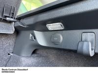 Skoda Kamiq - Vorschau Bild 15