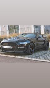 Ford Mustang GT500 Shelby  - Ford GT