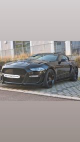 Ford Mustang GT500 Shelby  - Ford GT: Privatanbieter