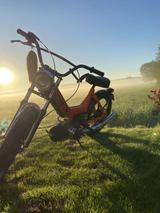 Puch Maxi N  - Offers