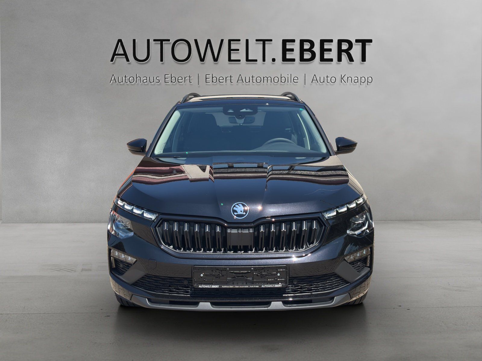 Fahrzeugabbildung SKODA Kamiq Balance DSG AHK+MATRIX+ACC+5JAHRE-GARANTIE