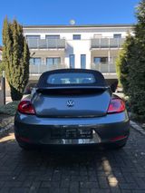 Volkswagen VW Beetle Cabriolet 1.6 TDI Design, Leder, Xenon - Volkswagen Beetle mit Diesel-Antrieb: Cabrio
