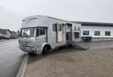 Mercedes-Benz 817 4x2 Pferdetransport / Swiss-Vehicle - Tier-/Pferdetransport 4 pferde