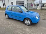 Volkswagen Lupo Basis TÜV NEU - Volkswagen Lupo: Blau