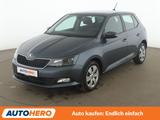 Skoda Fabia 1.0 TSI Ambition*TEMPO*PDC*SHZ*KLIMA* - graue Skoda Fabia