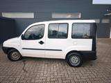 Fiat doblo Minicamper Export tüv - Fiat Doblo in Lübeck