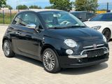 Fiat 500 Cult Cabrio/Klima/PDC/TÜV neu - Fiat 500: Schwarz, Cabrio