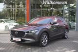 Mazda CX-30 2.0 M-Hybrid Selection LED Navi ACC AHK - Mazda CX-30 Gebrauchtwagen