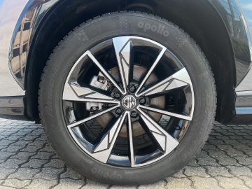 Mg HS - 9