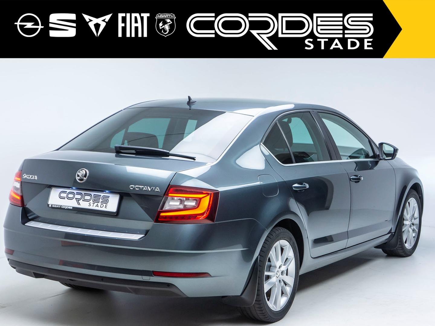 Skoda Octavia Style AUTOMATIK WINTERPAKET NAVI  (GW91)