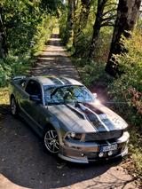 Ford Mustang 4.6L V8 - Ford Mustang aus 2008: V6
