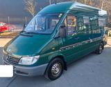 Mercedes-Benz Mercedes Sprinter 313 cdi grüne Umwelt Pla... - gebrauchte Mercedes-Benz Sprinter aus dem Jahr 2002