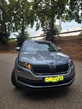 Skoda Kodiaq 1.5 TSI ACT Active Active - Skoda Kodiaq Active mit Benzin-Antrieb