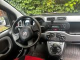 Fiat Panda| Neuer Zahnriemen und Getriebe | - Fiat Panda in München