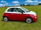Fiat Sondermodell Fiat 500 1.2 Pop, Rot/Weiß TÜV neu  - Fiat 500: Weis