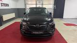 Opel Grandland (X) Business Edition - Opel Grandland (X) Gebrauchtwagen in Hamburg