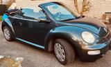 Volkswagen New Beetle 1.4 Cabriolet Standard - Volkswagen New Beetle: Standard