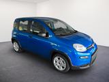 Fiat Panda 1.0 GSE /RADIO/KLIMA/PDC H/DAB - gebrauchte Fiat Kleinwagen