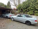Mercedes-Benz 2x Mercedes CLK Cabrio 230K W208 Final Edi... - Mercedes-Benz CLK w208