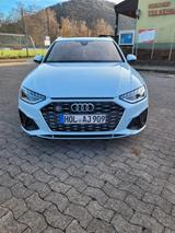 Audi S4 TDI 3.0 Quattro Mild-Hybrid - Audi S4: Weiß