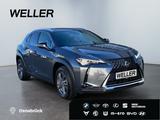 Lexus UX 250h Executive Line *HUD*Leder*GSD*CAM*el Hec - Lexus aus 2023