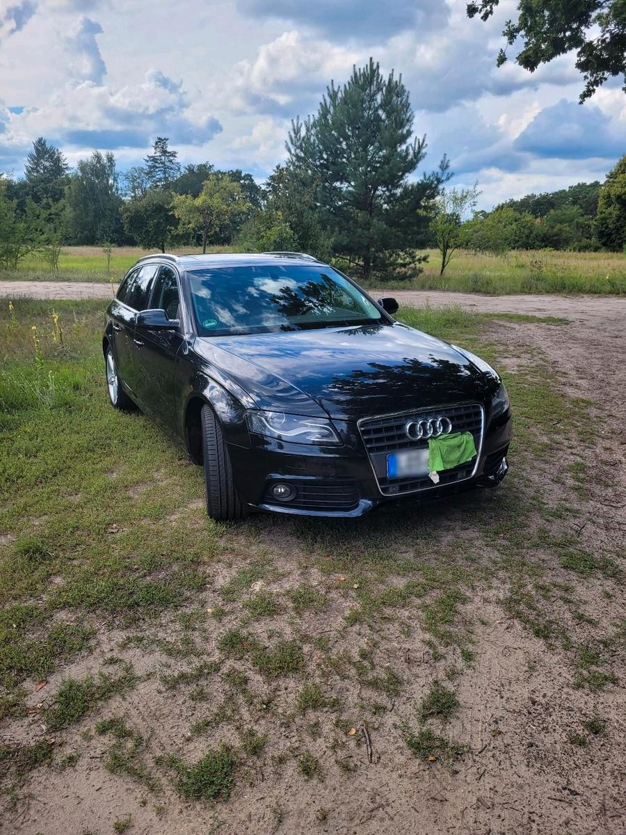 Audi A4 2010 — вигляд ззаду