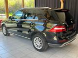 Mercedes-Benz ML 350 CDI 4Matic BlueTec |NAVI|PDC|BI-XENON|d - Mercedes-Benz ML 350: Cdi 4matic