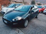 Fiat Punto 1.4 8V 5 porte Easypower Lounge - Fiat Punto: Easy
