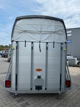 Böckmann Champion Esprit Pferdeanhänger - Böckmann Champion