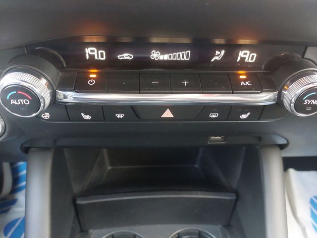 3 2.0 SKYACTIV Selection *MATRIX-LED*KAMERA*SHZ*