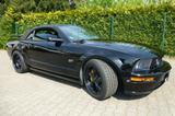 Ford Mustang Cabriolet 4,6 Liter V 8 Motor - Ford Mustang in Hamm