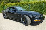 Ford Mustang Cabriolet 4,6 Liter V 8 Motor - Ford Mustang: Motor