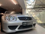 Mercedes-Benz CLK DTM AMG - Mercedes-Benz CLK DTM AMG
