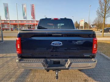 Ford F 150 - 5
