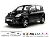 Fiat Panda Hybrid *SONDERANGEBOT* BESTELLFAHRZEUG Kli - : Kleinwagen, Beste