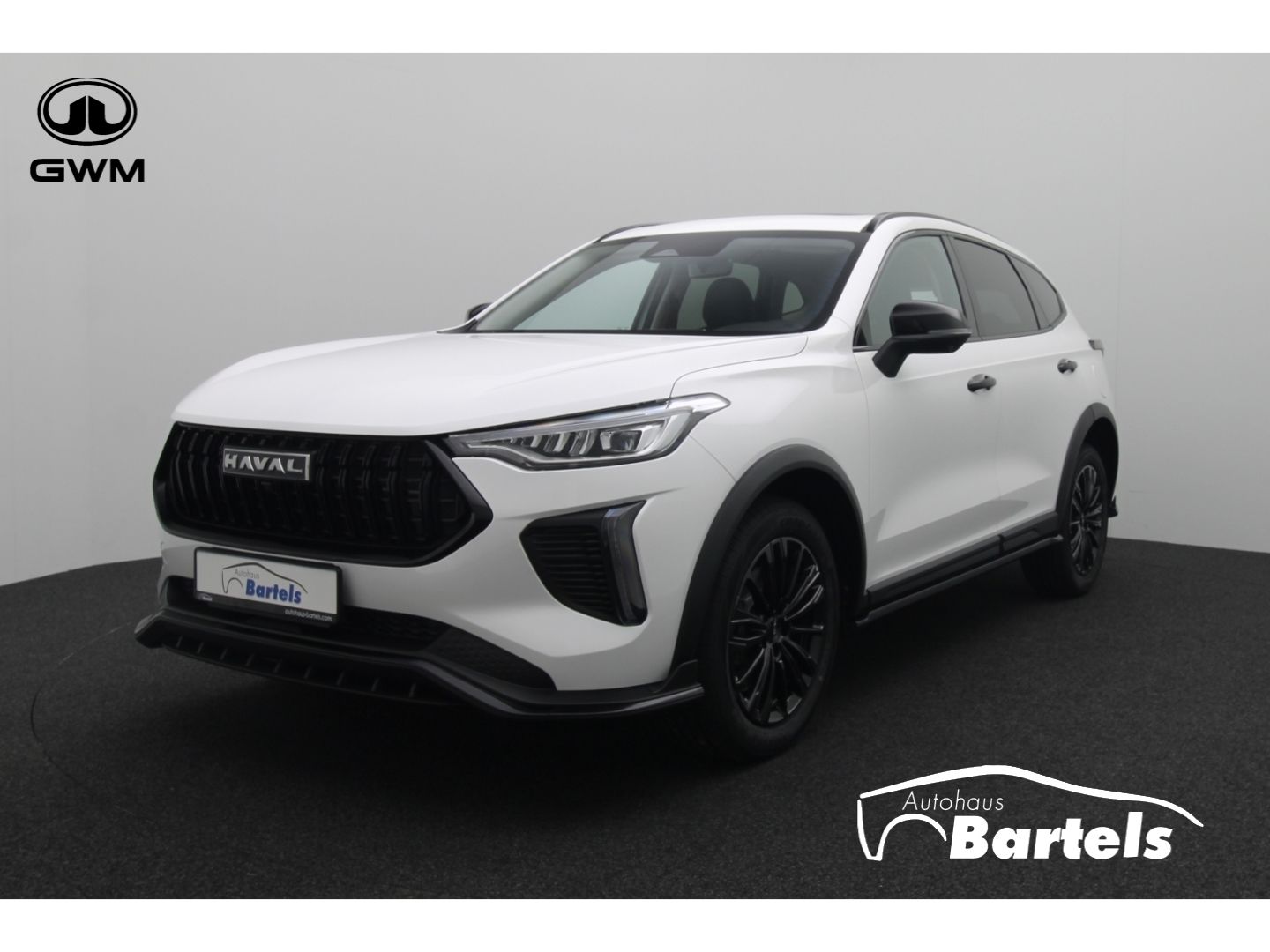 Fahrzeugabbildung GWM Haval Jolion Pro 1.5 Turbo FWD Luxury